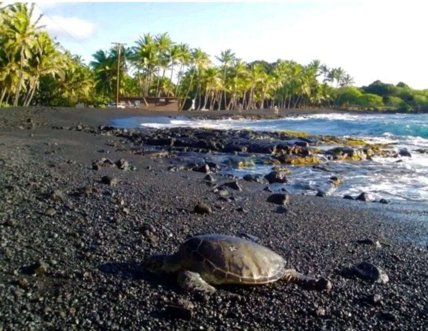 Pahoehoe- Hale Kumu La'Au At ボルケーノ エクステリア 写真