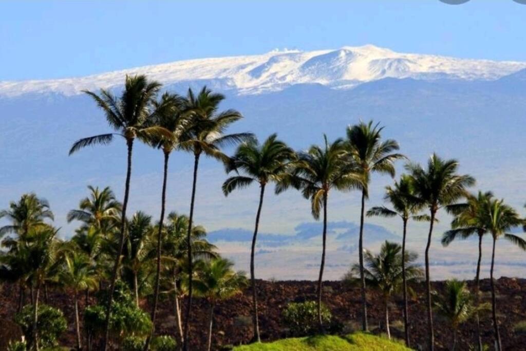 Pahoehoe- Hale Kumu La'Au At ボルケーノ エクステリア 写真