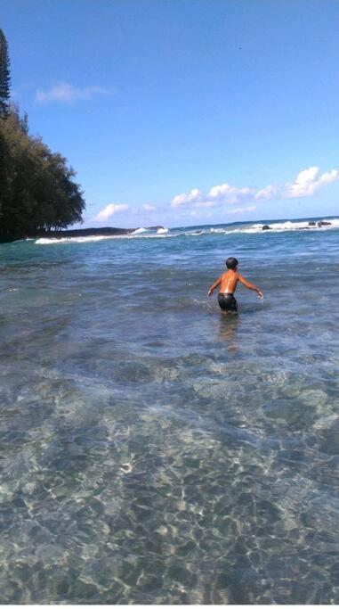 Pahoehoe- Hale Kumu La'Au At ボルケーノ エクステリア 写真
