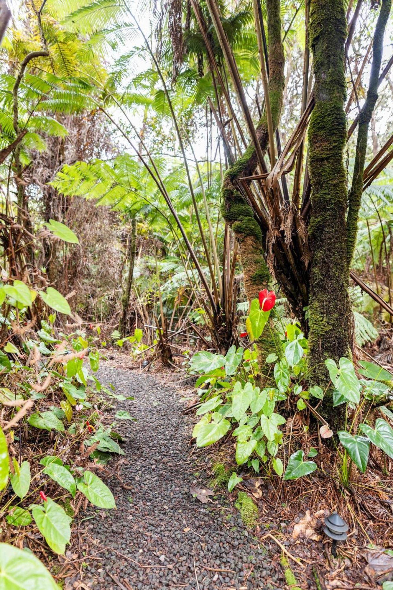 Pahoehoe- Hale Kumu La'Au At ボルケーノ エクステリア 写真